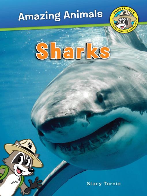 Title details for Sharks by Stacy Tornio - Available